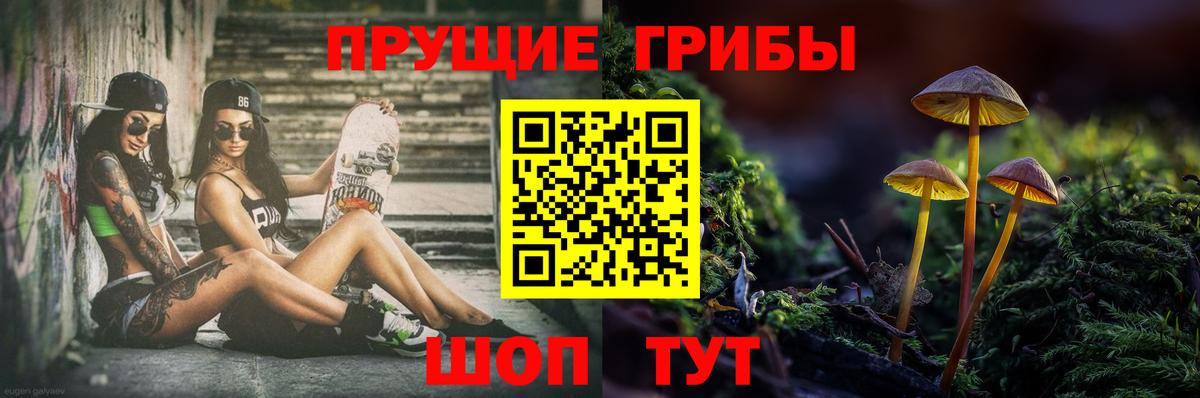 купить наркотик  Вход с VPN  Алатырь  Псилоцибиновые грибы Psilocybine cubensis 