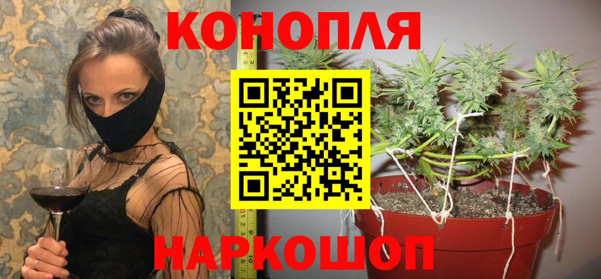 МАРИХУАНА White Widow  Бошки марихуана конопля  Алатырь  Вход с VPN 